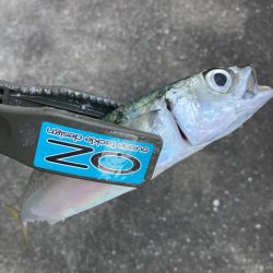 フロートリグでサバング