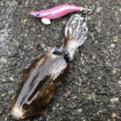 オールナイト釣行