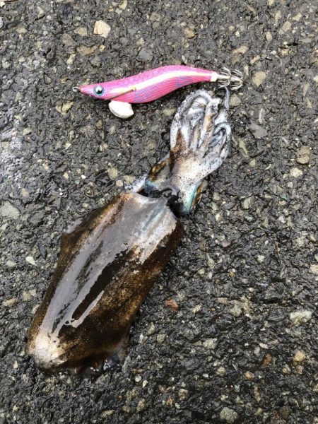 オールナイト釣行