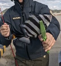 カワハギ坊主回避