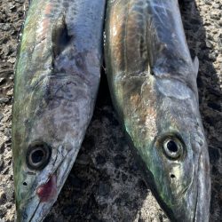 3連休3釣行⁉️