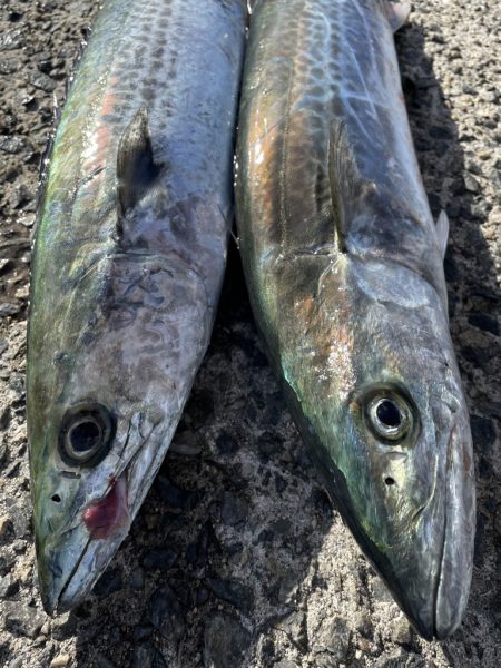 3連休3釣行⁉️…