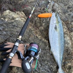 カマスパターン