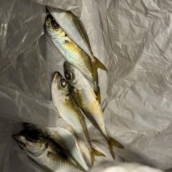 こんなはずではー