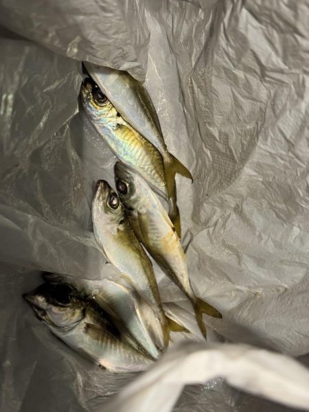 こんなはずではー