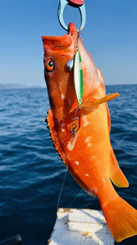 久しぶりの紀北ボート釣行