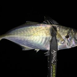 アドレナリン出た〜！