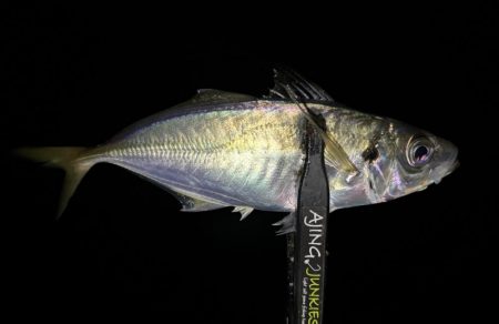 アドレナリン出た〜！