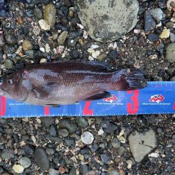 輪島市門前町深見 地磯フカセ