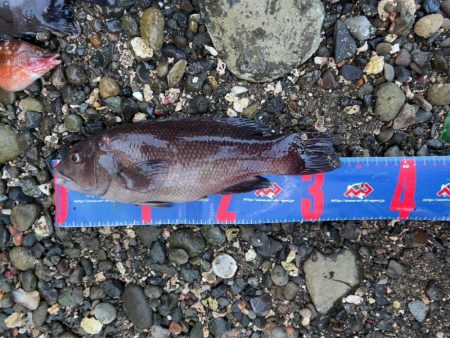 輪島市門前町深見 地磯フカセ