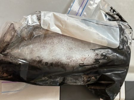 そろそろエギング終了か！？釣り人激減の激渋！