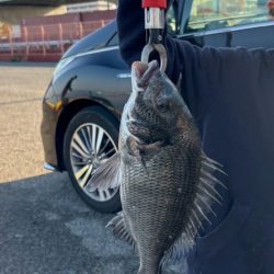 久しぶりの貝塚