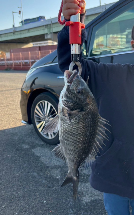 久しぶりの貝塚