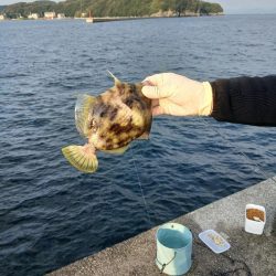 厳しい沖堤(泣)