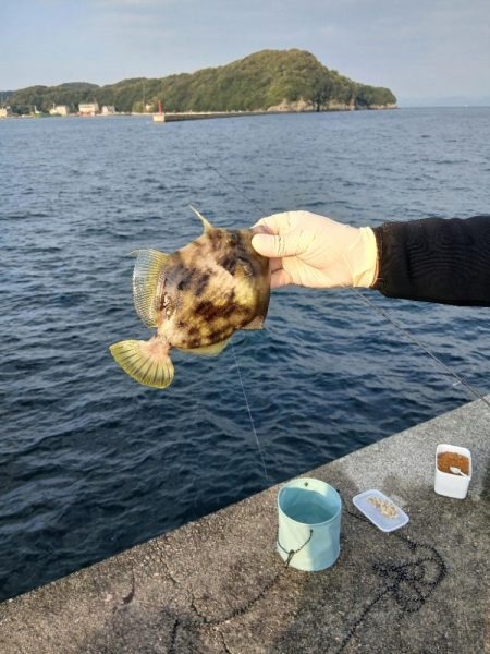 厳しい沖堤(泣)