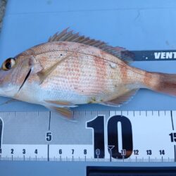 冬の穴釣り開始＆アタリの日