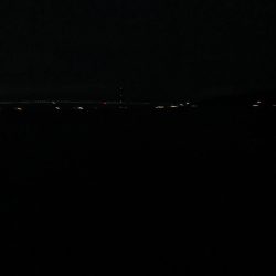 また一匹だけ…