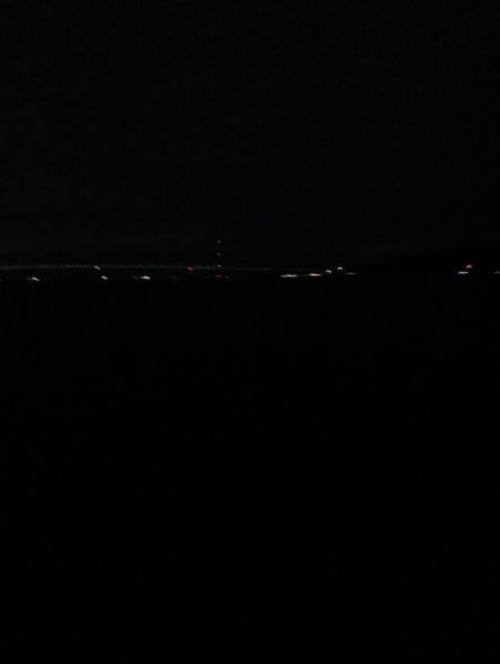 また一匹だけ…