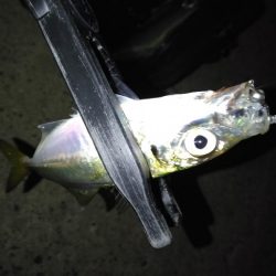 今日は負けない！