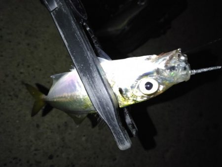 今日は負けない！