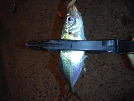 場所が変われば釣果も変わる？