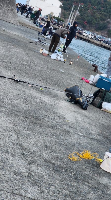 釣り易い釣れない魚