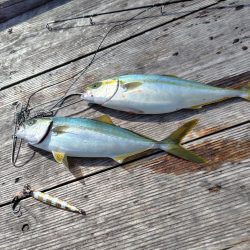 筏でショアジギング