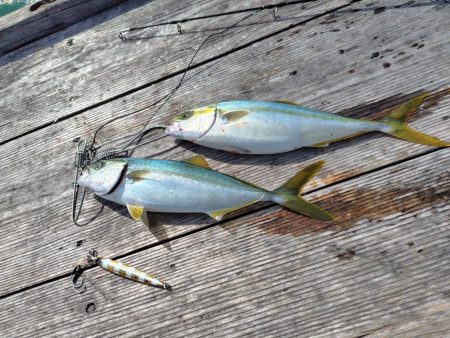 筏でショアジギング