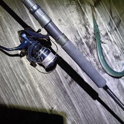 秋も深まり⋯⋯