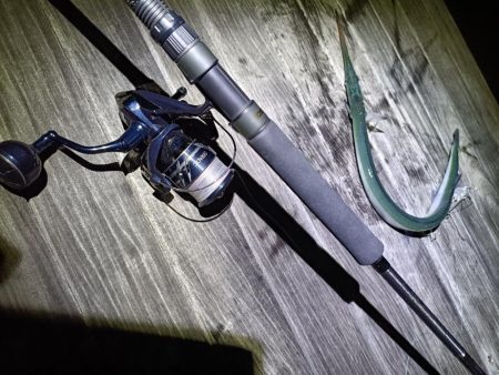 秋も深まり⋯⋯