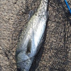 ポイント悪くなってはる？