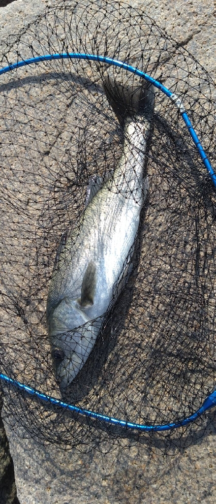 ポイント悪くなってはる？