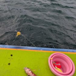 カワハギ◎みのすけ