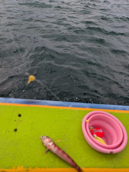 カワハギ◎みのすけ