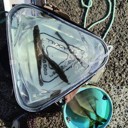 たまにはこんな日も🌟