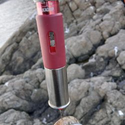 2025秋終盤第六回エギング調査