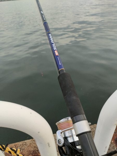 朝、夕まずめのダブルヘッダー