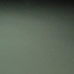 渋い中なんとか