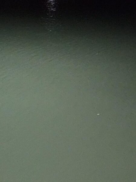 渋い中なんとか