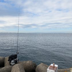 ハードジギング