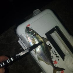 フロートゲーム~