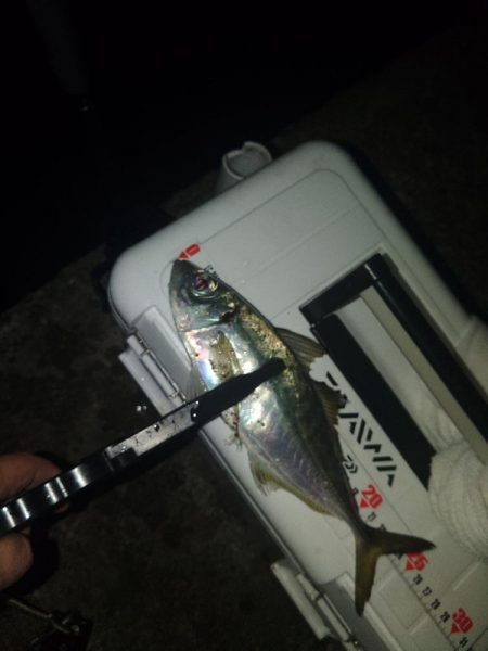 フロートゲーム~