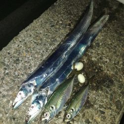 フロートゲーム～