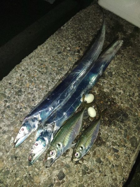 フロートゲーム～