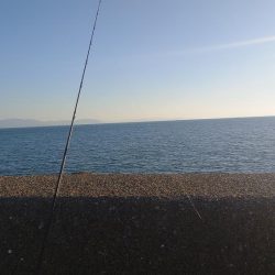 お久しぶりです！