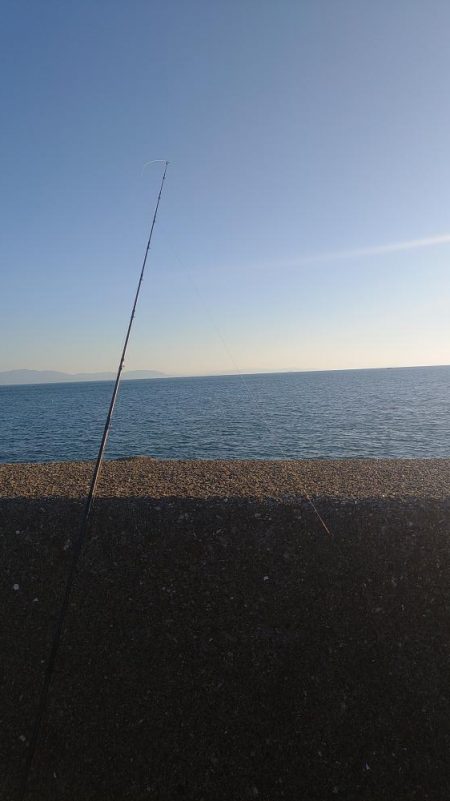 お久しぶりです！