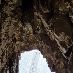 巻き網でベイトのイワシ取られてた！