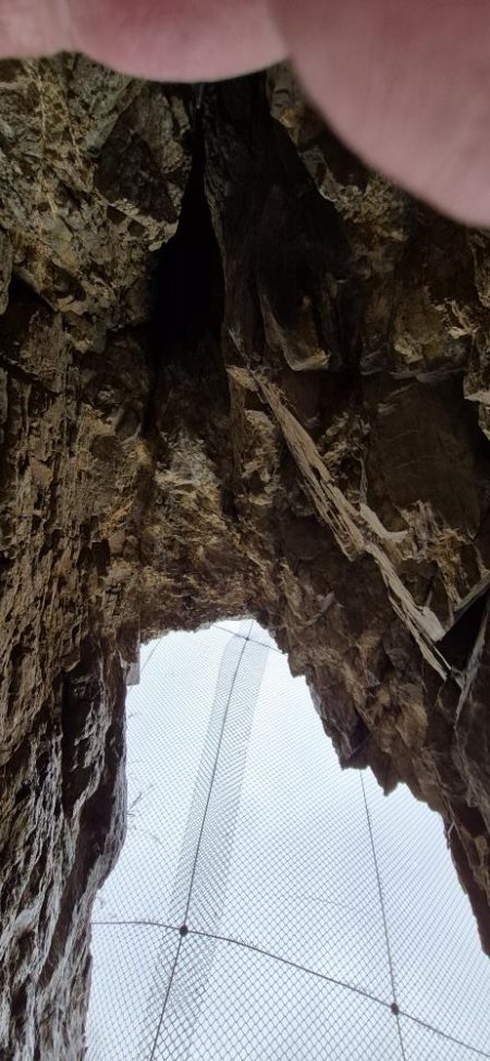 巻き網でベイトのイワシ取られてた！