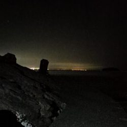 みんな青物は何処へ