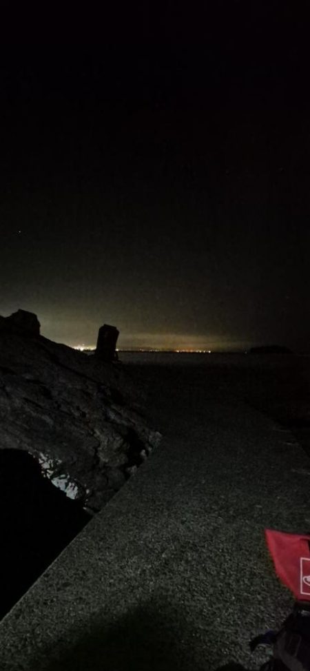 みんな青物は何処へ